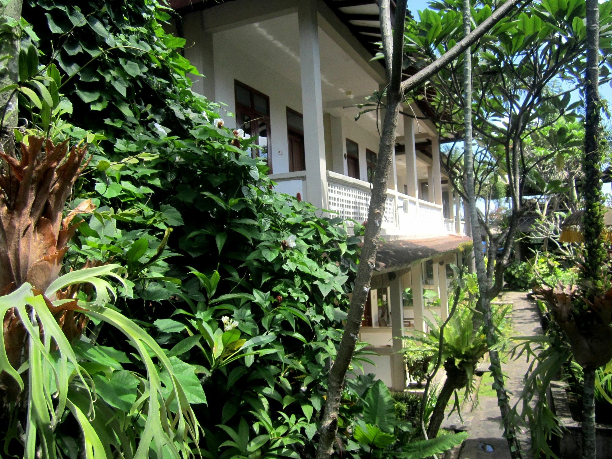 Casa Ganesha Hotel Ubud Экстерьер фото